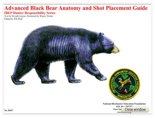 Advanced Bear Anatomy and Shot Placement Guide, w/overlays – nbef