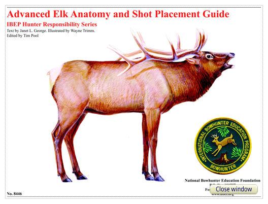 Elk Body Language Advanced Elk Anatomy and Shot Placement Guide, w/overlays – nbef